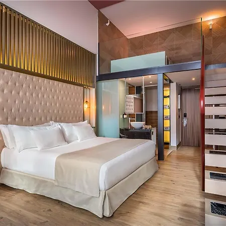 ホテル Barcelo 4*