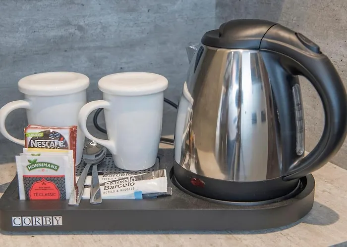 Barcelo 酒店 奥伦塞